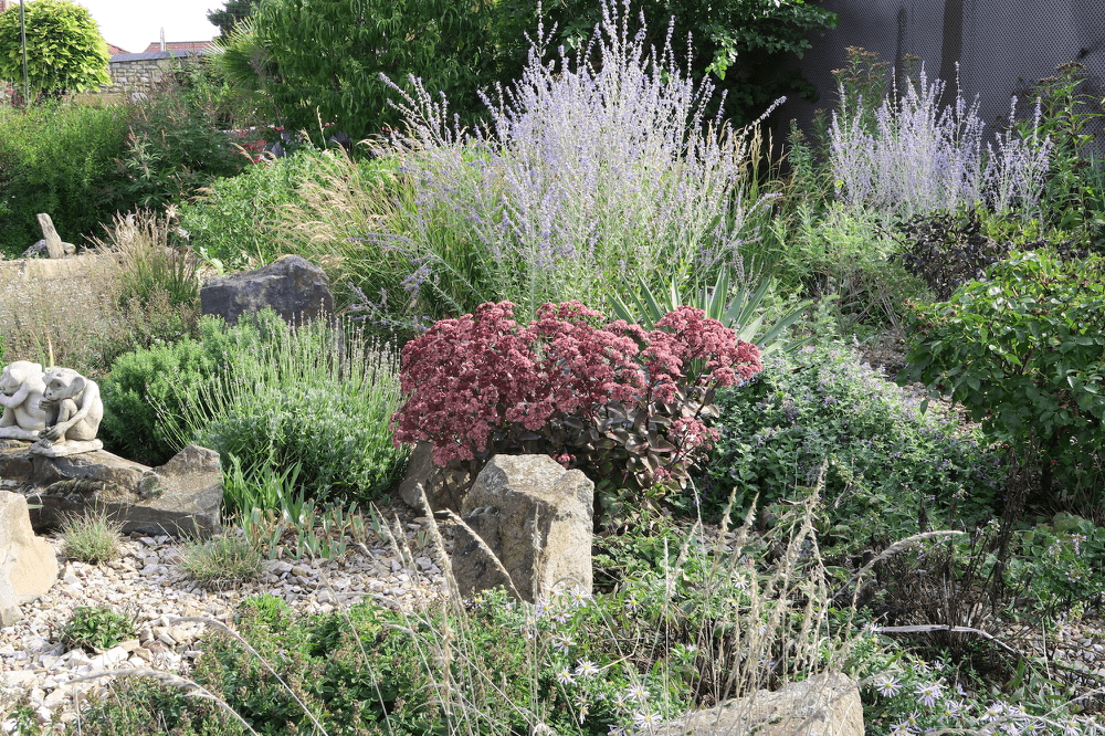 Vorgarten im Herbst 2022